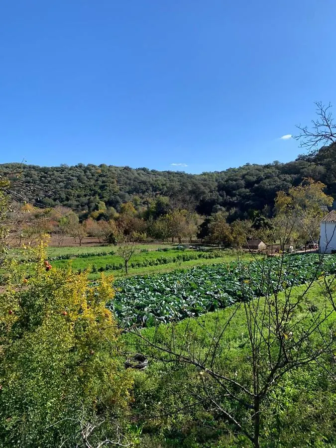 Casa Rural La Senda De Aroche Aracena Gospodarstwo wiejskie